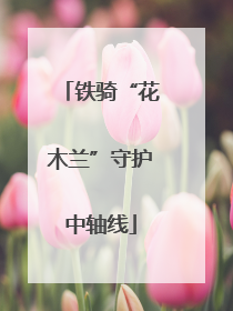 铁骑“花木兰”守护中轴线