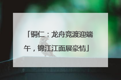 铜仁：龙舟竞渡迎端午，锦江江面展豪情