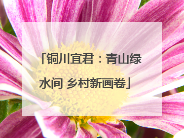 铜川宜君：青山绿水间 乡村新画卷