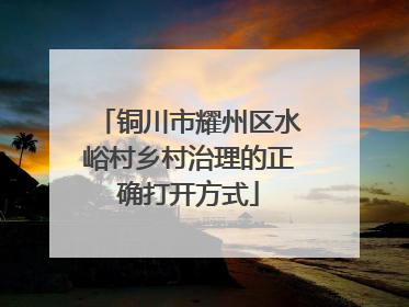 铜川市耀州区水峪村乡村治理的正确打开方式