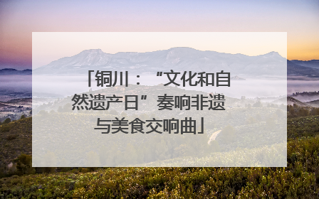 铜川：“文化和自然遗产日”奏响非遗与美食交响曲