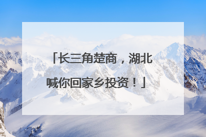 长三角楚商，湖北喊你回家乡投资！