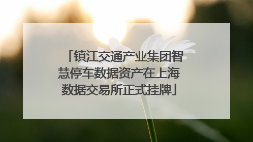 镇江交通产业集团智慧停车数据资产在上海数据交易所正式挂牌
