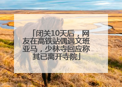 闭关10天后，网友在高铁站偶遇文班亚马，少林寺回应称其已离开寺院