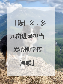 陈仁文：多元奋进显担当 爱心助学传温暖