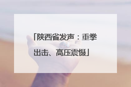 陕西省发声：重拳出击、高压震慑