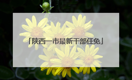 陕西一市最新干部任免