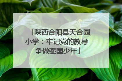 陕西合阳县天合园小学：牢记党的教导 争做强国少年
