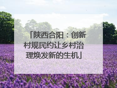 陕西合阳：创新村规民约让乡村治理焕发新的生机