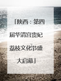 陕西：第四届华清宫贵妃荔枝文化节盛大启幕