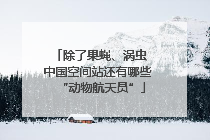 除了果蝇、涡虫 中国空间站还有哪些“动物航天员”
