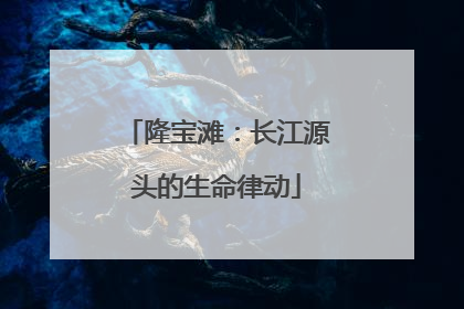 隆宝滩：长江源头的生命律动