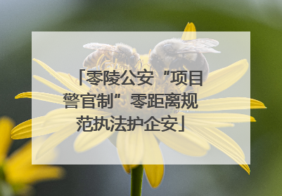 零陵公安“项目警官制”零距离规范执法护企安