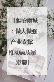 雅安雨城：做大做强产业支撑 推动高质量发展
