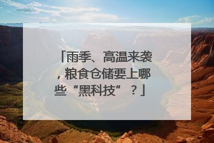 雨季、高温来袭，粮食仓储要上哪些“黑科技”？