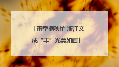 雨季插秧忙 浙江文成“丰”光美如画