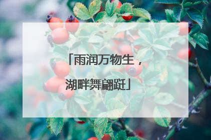 雨润万物生，湖畔舞翩跹