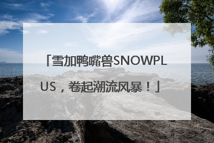 雪加鸭嘴兽SNOWPLUS，卷起潮流风暴！
