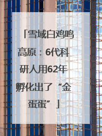 雪域白鸡鸣高原：6代科研人用62年孵化出了“金蛋蛋”