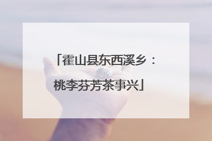 霍山县东西溪乡：桃李芬芳茶事兴