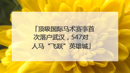 顶级国际马术赛事首次落户武汉，547对人马“飞跃”英雄城