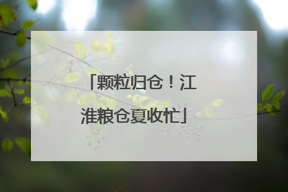颗粒归仓！江淮粮仓夏收忙