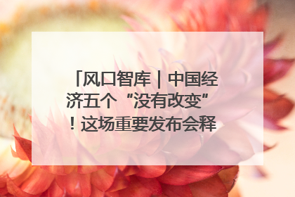 风口智库｜中国经济五个“没有改变”！这场重要发布会释放三点信号