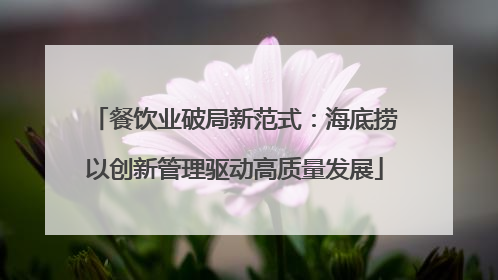 餐饮业破局新范式：海底捞以创新管理驱动高质量发展