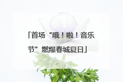 首场“哦！啦！音乐节”燃爆春城夏日