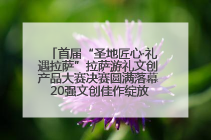 首届“圣地匠心·礼遇拉萨”拉萨游礼文创产品大赛决赛圆满落幕 20强文创佳作绽放雪域文化魅力