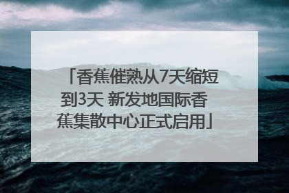 香蕉催熟从7天缩短到3天 新发地国际香蕉集散中心正式启用