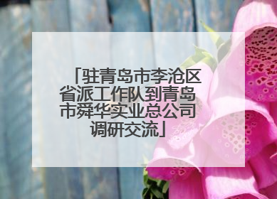 驻青岛市李沧区省派工作队到青岛市舜华实业总公司调研交流