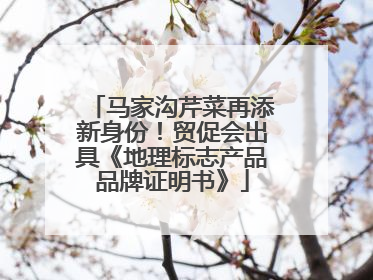 马家沟芹菜再添新身份！贸促会出具《地理标志产品品牌证明书》