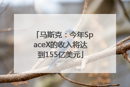马斯克：今年SpaceX的收入将达到155亿美元