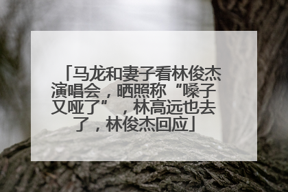 马龙和妻子看林俊杰演唱会，晒照称“嗓子又哑了”，林高远也去了，林俊杰回应