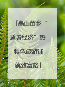 高山苗乡“避暑经济”热 特色旅游铺就致富路