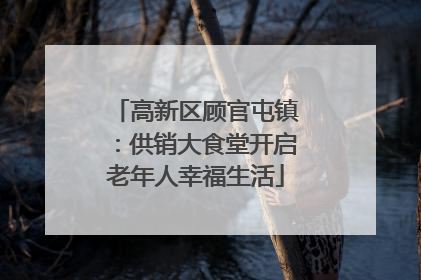 高新区顾官屯镇：供销大食堂开启老年人幸福生活