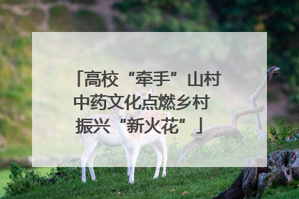 高校“牵手”山村 中药文化点燃乡村振兴“新火花”