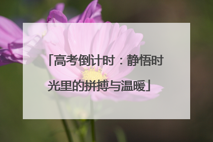 高考倒计时：静悟时光里的拼搏与温暖
