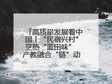 高质量发展看中国丨“民宿兴村”烹热“蓝田味” 产教融合“链”动发展新引擎