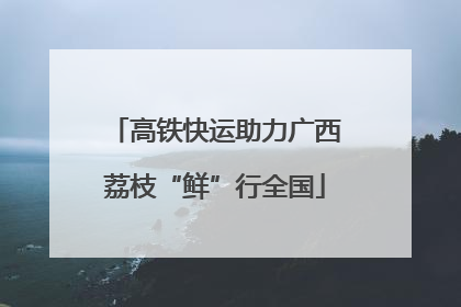 高铁快运助力广西荔枝“鲜”行全国