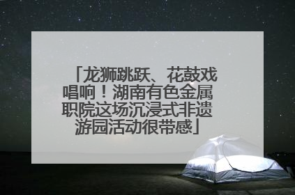 龙狮跳跃、花鼓戏唱响！湖南有色金属职院这场沉浸式非遗游园活动很带感