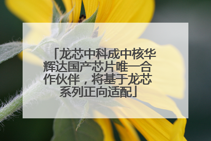 龙芯中科成中核华辉达国产芯片唯一合作伙伴，将基于龙芯系列正向适配