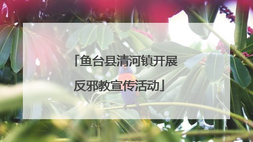 鱼台县清河镇开展反邪教宣传活动