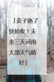 麦子熟了快抢收！未来三天河南大部天气晴好