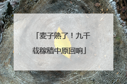 麦子熟了！九千载稼穑中原回响