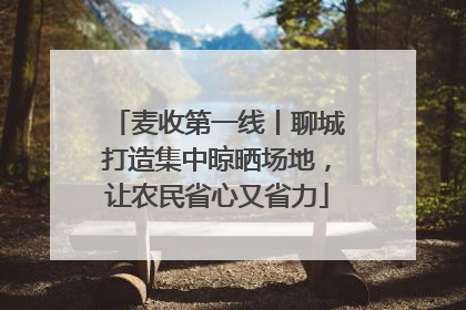 麦收第一线丨聊城打造集中晾晒场地，让农民省心又省力