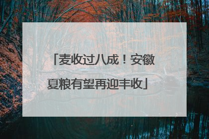 麦收过八成！安徽夏粮有望再迎丰收