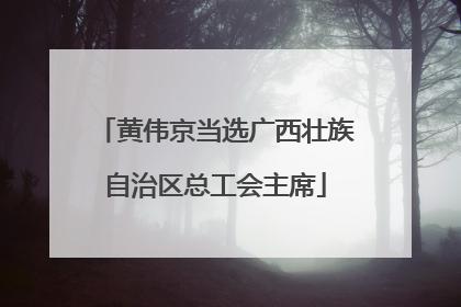 黄伟京当选广西壮族自治区总工会主席