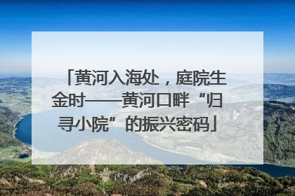 黄河入海处，庭院生金时——黄河口畔“归寻小院”的振兴密码